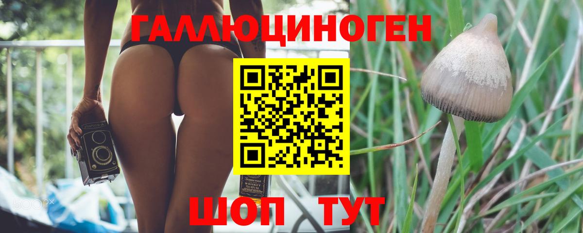 Нефтекумск  Галлюциногенные грибы Psilocybe  Вход с VPN 